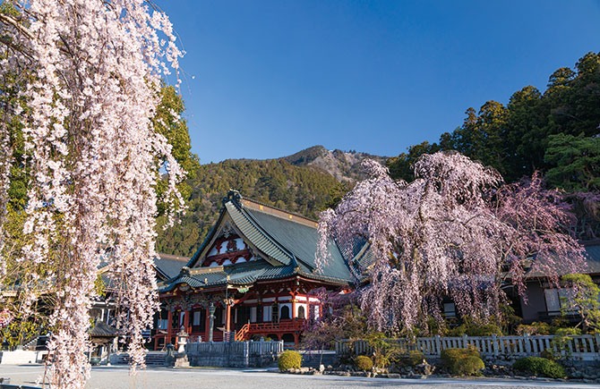 身延町風景