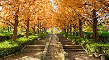 富士川クラフトパーク