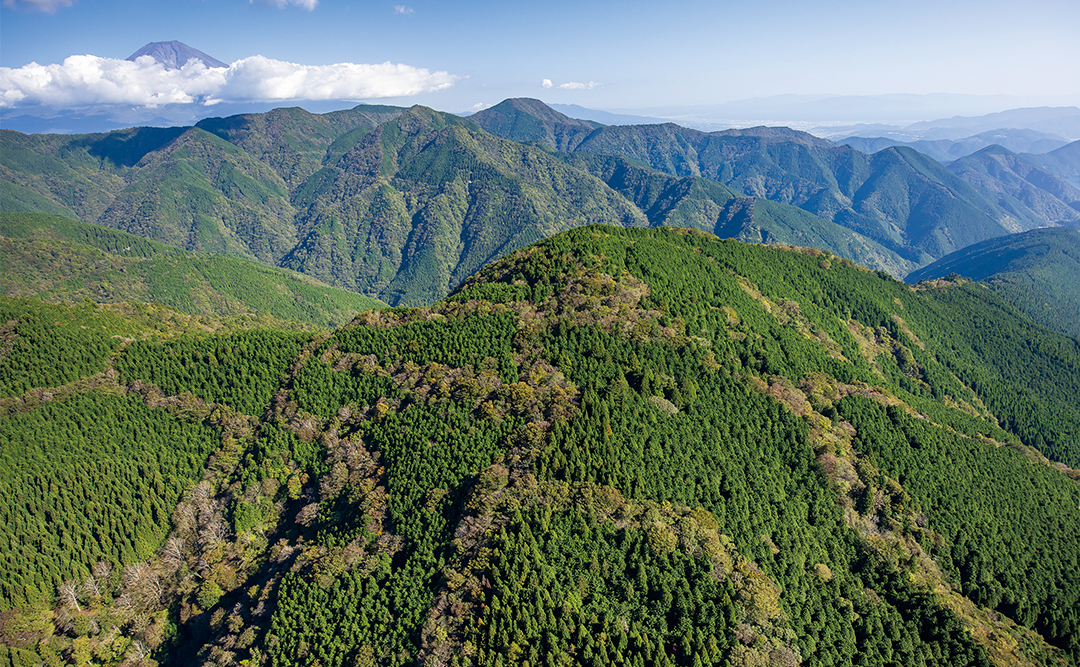 三石山より望む富士山