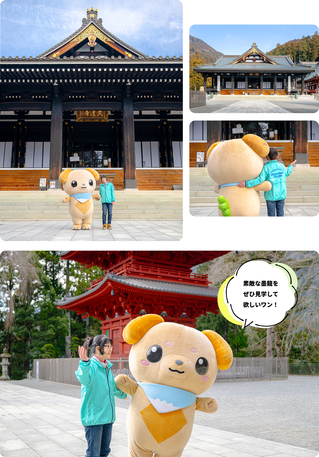 本堂・祖師堂の写真