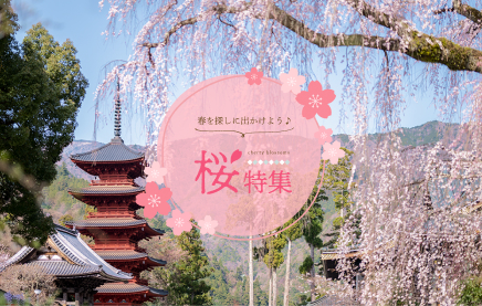 桜特集のサムネイル