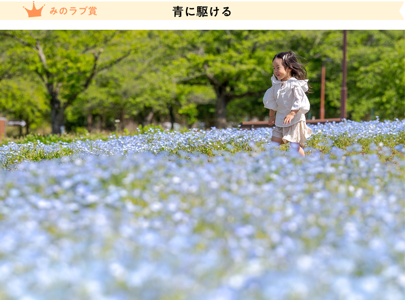 古賀壮一郎「青に駆ける」
