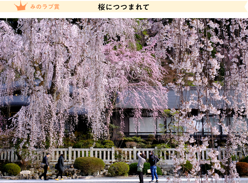 小澤宏「桜につつまれて」