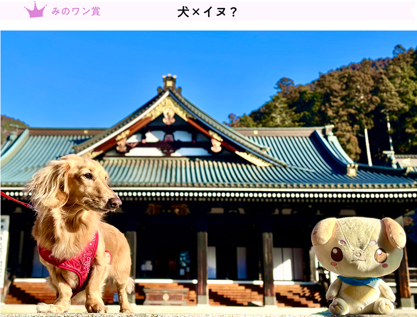 もっちー「犬×イヌ?」