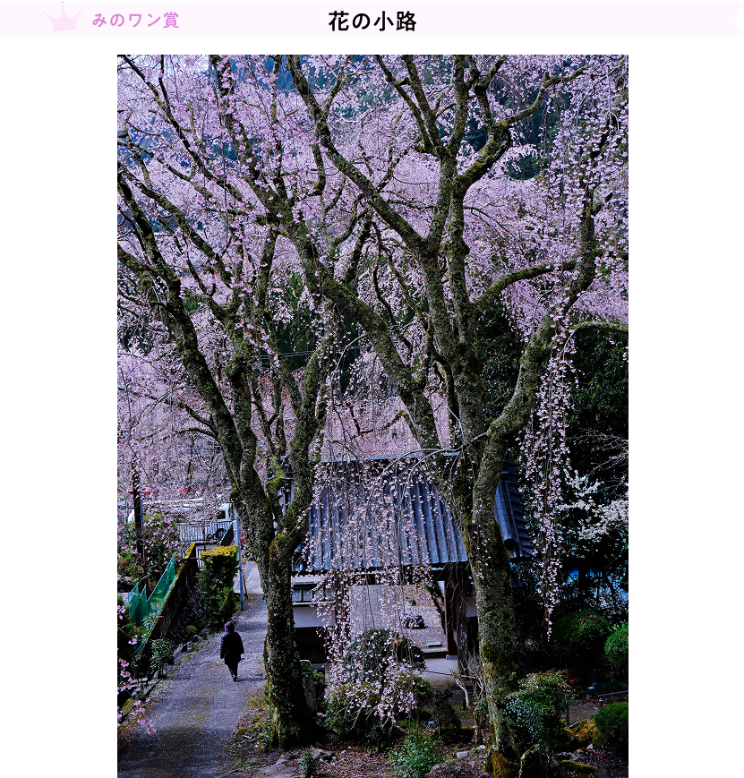 岡田泰文「花の小路」