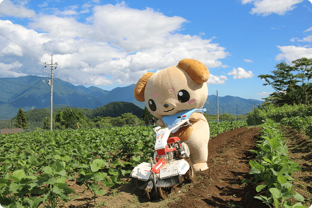 土寄せするみのワン