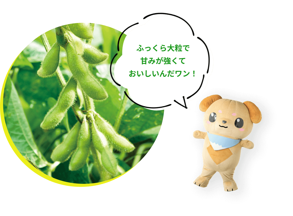 ふっくら大粒で甘みが強くておいしいんだワン！