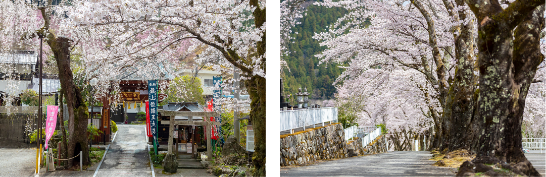 東谷・寺平