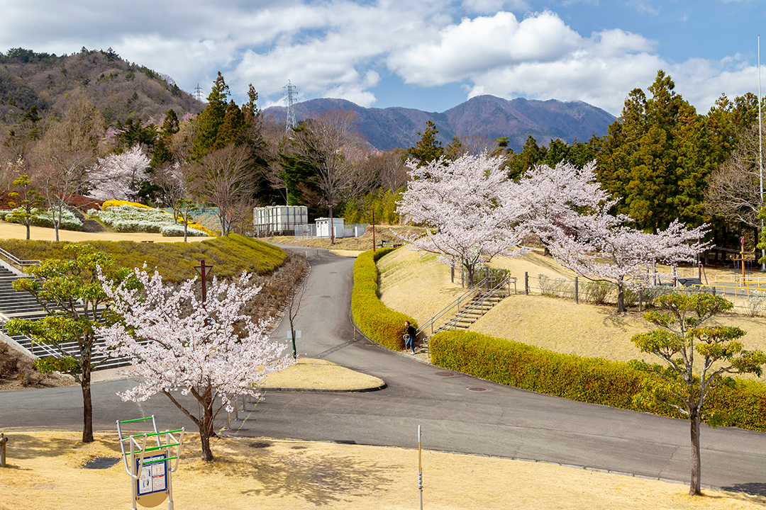 富士川クラフトパーク1