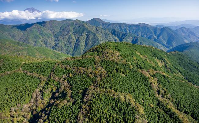 三石山より望む富士山