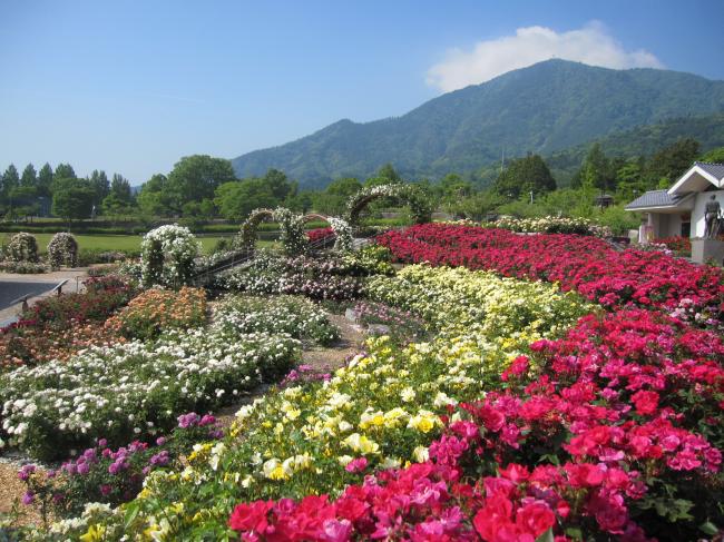 山梨県富士川クラフトパーク