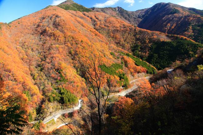 三石山の紅葉