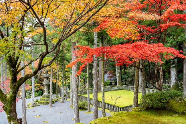 身延山 御草庵跡の紅葉