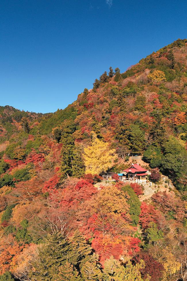 身延山　登山道の紅葉