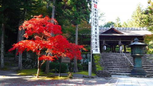 御廟所前20251107