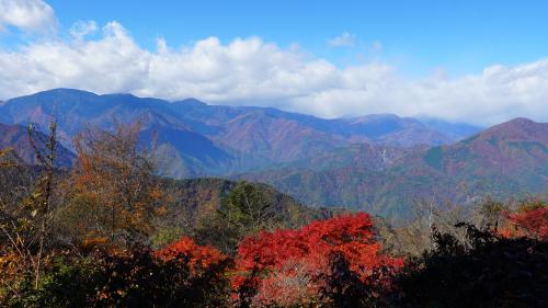 身延山山頂20251110