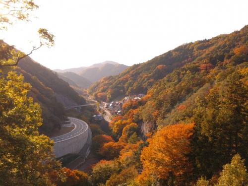 紅葉スポット20251107