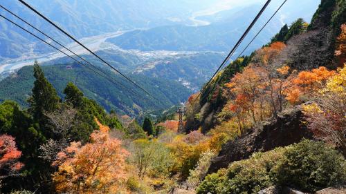 ロープウェイ20251110