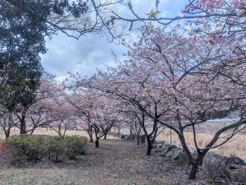 金山博物館20260309