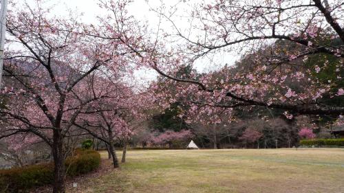 道の駅しもべ20260313