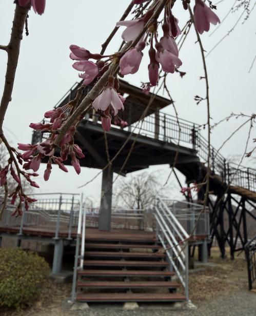 クラフトパーク20260313