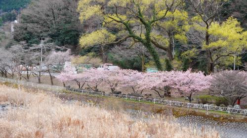 金山博物館20260313
