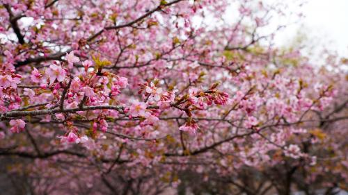 金山博物館20260313