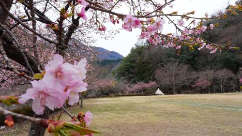 道の駅しもべ20260313