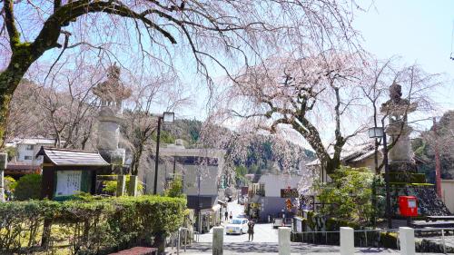 身延山三門　（令和8年3月19日時点）