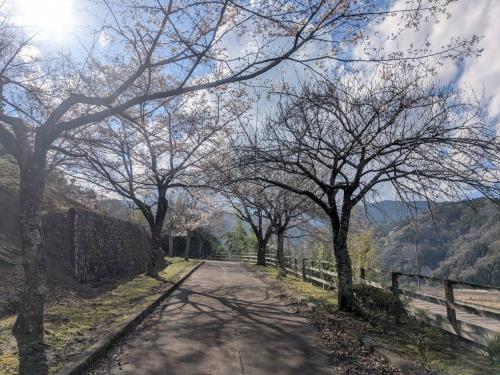 和田峠展望台 （令和8年3月19日時点）