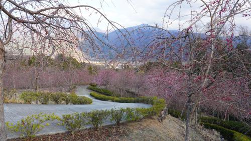 富士川クラフトパーク （令和8年3月17日時点）