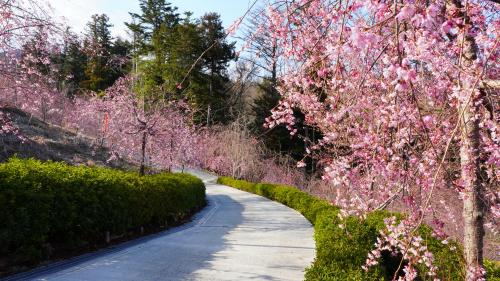 富士川クラフトパーク （令和8年3月17日時点）