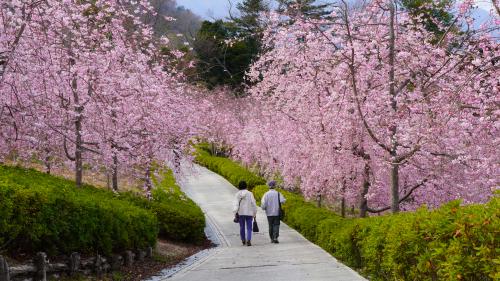 クラフトパーク202603024