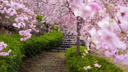 クラフトパーク202603024