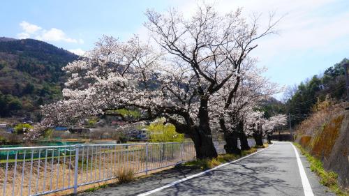 甲斐常葉駅20260324