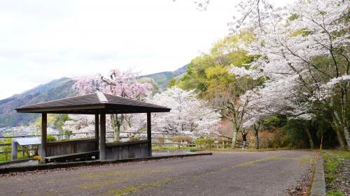 和田峠展望台20260327