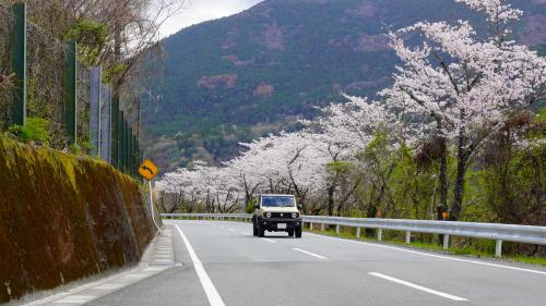 富士川沿い20260327