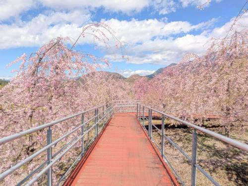 クラフトパーク20260402