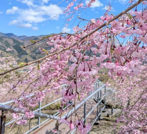 クラフトパーク20260402