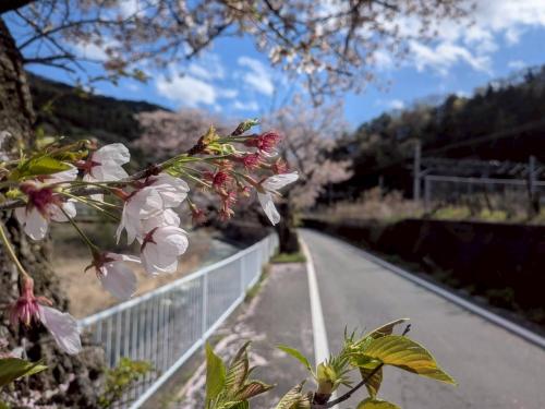 甲斐常葉駅20260402