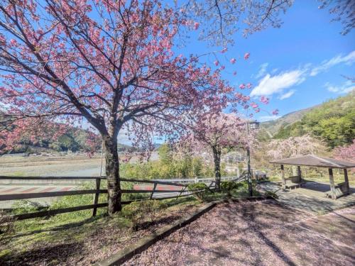 和田峠展望台20260402