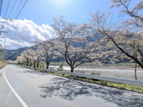 富士川沿い20260402