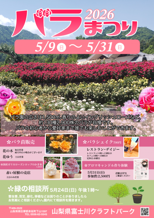 チラシ